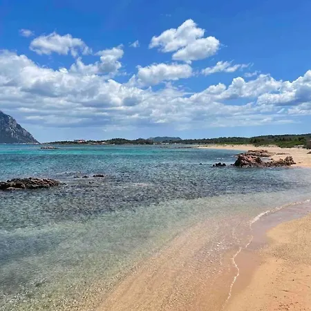 In A 800 Mt Dalla * Porto San Paolo (Sardinia)